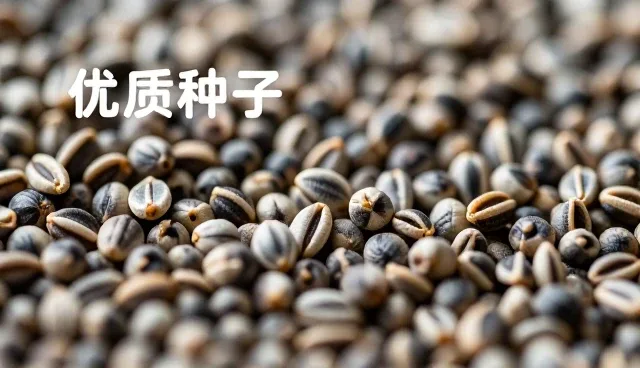 智能灌溉系统日常使用与维护的关键要点