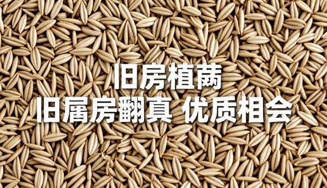 种苗供应等实际问题及处理方向